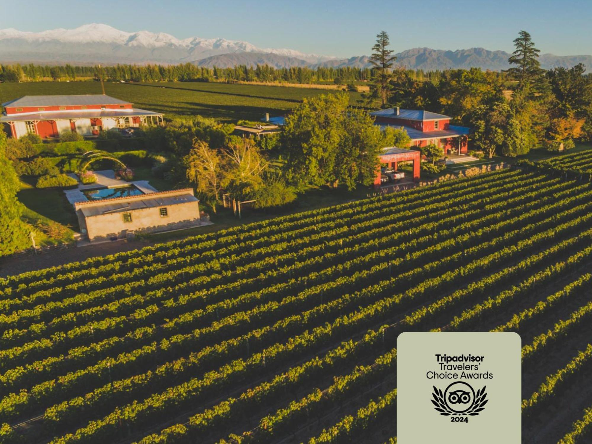 Enlace Wine House Lujan de Cuyo Dış mekan fotoğraf
