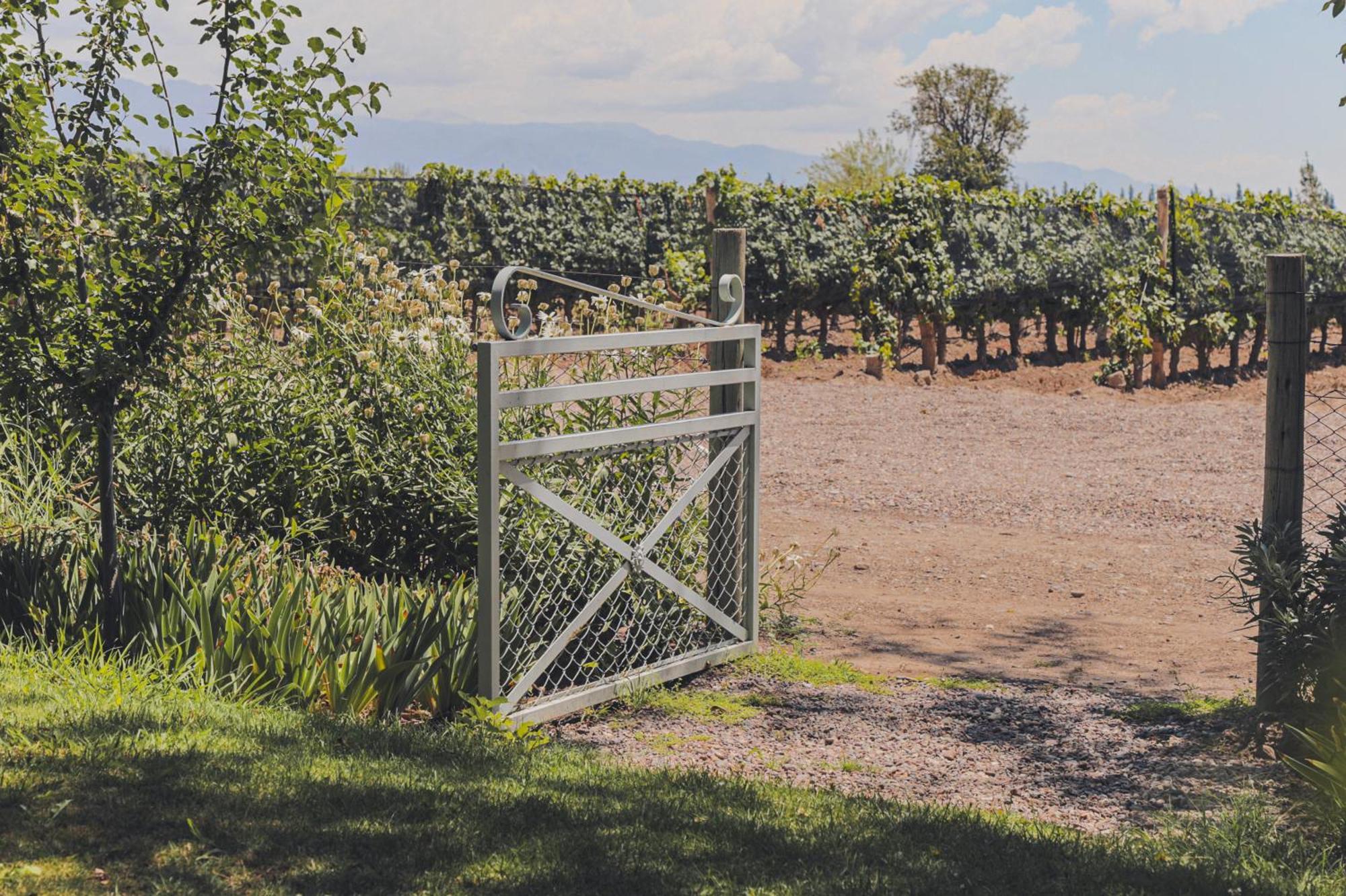 Enlace Wine House Lujan de Cuyo Dış mekan fotoğraf